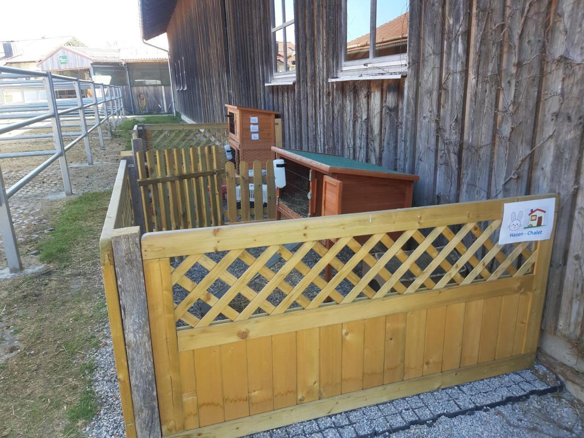 Ferienwohnung Pferdehof Pankratz Iffeldorf Exterior foto